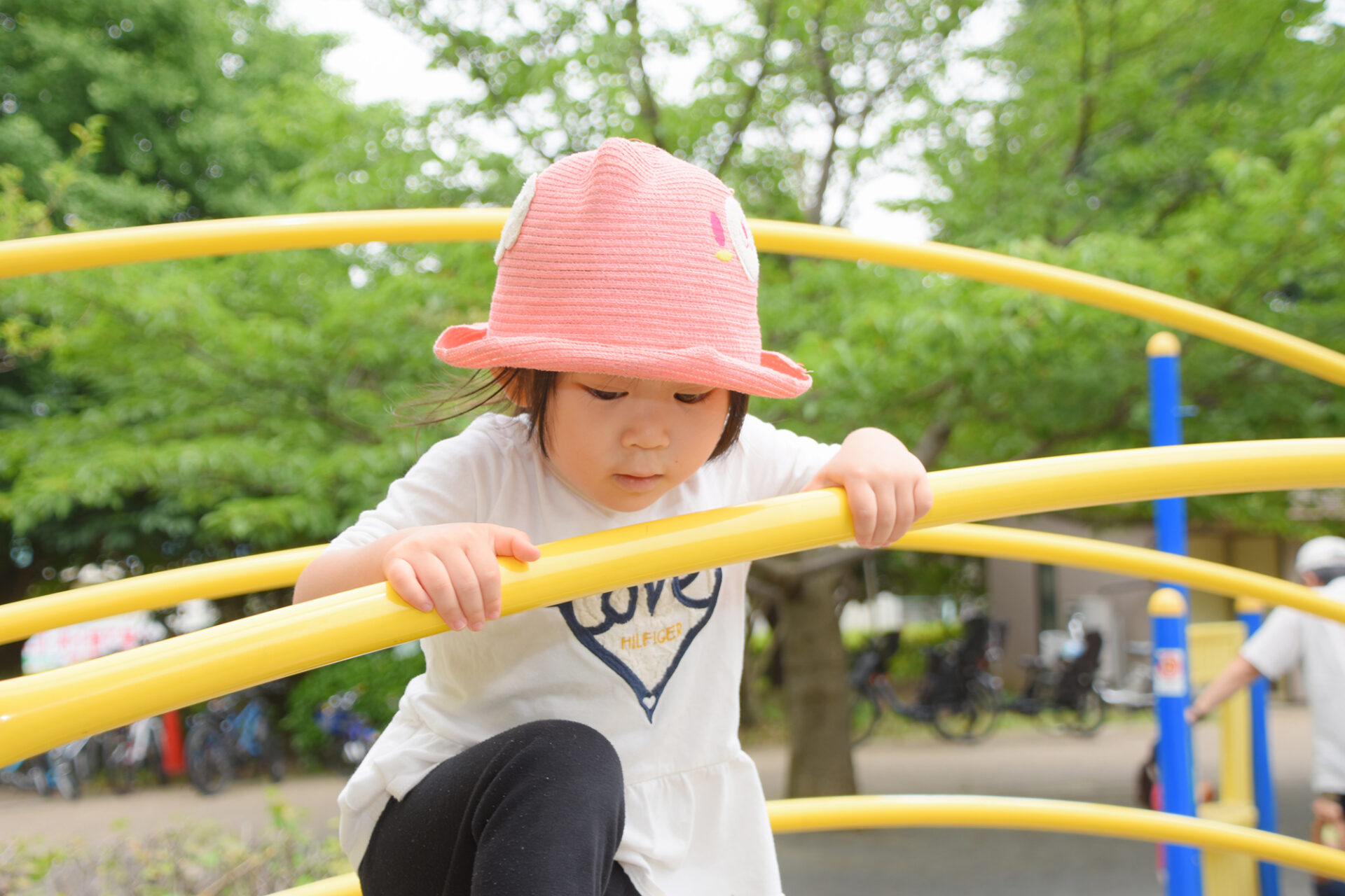 保育スタッフが語る、こどもの「不思議」を膨らませる保育の魅力